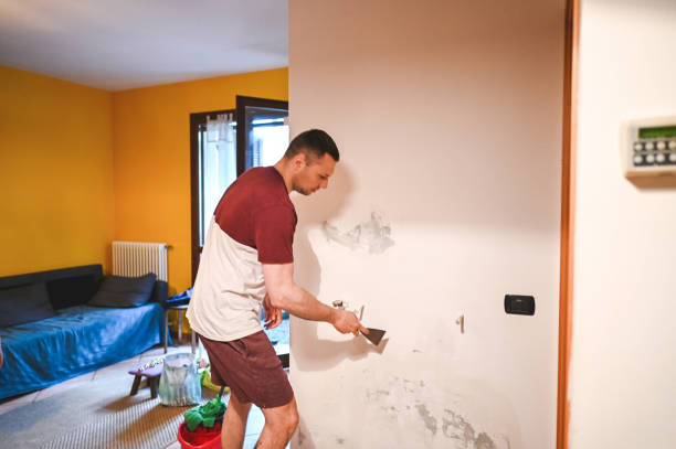 Best Fast Mold Removal  in Chadbourn, NC