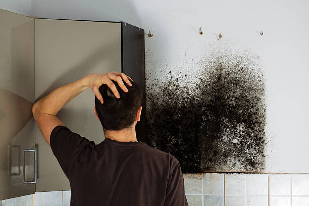 Best Crawl Space Mold Removal  in Chadbourn, NC